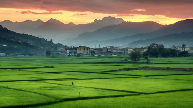 कृषि क्षेत्रमा दश प्रतिशत बजेट विनियोजनको मागसहित ध्यानाकर्षण
