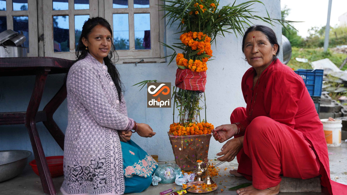 घरमा रोपिएको तुलसीलाई दामोदरसँग विवाह गरिँदै